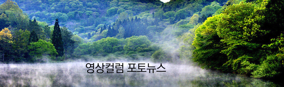 파란봄 이미지