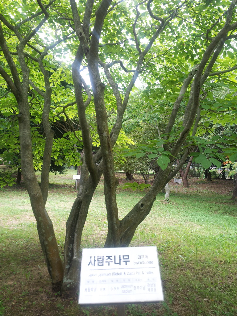한라수목원 이미지