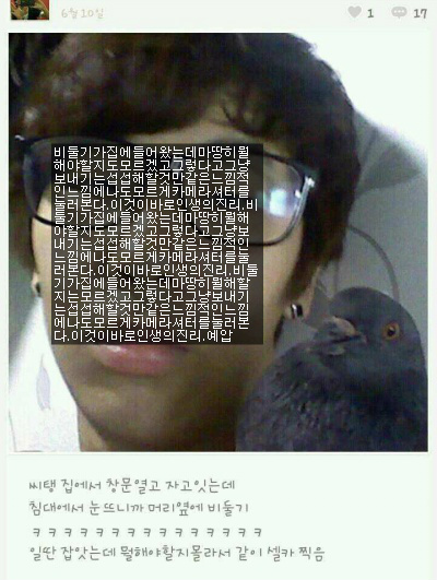 낮잠 자는데 비둘기가 방에 들어왔다. 그래서 난..........JPG | 인스티즈