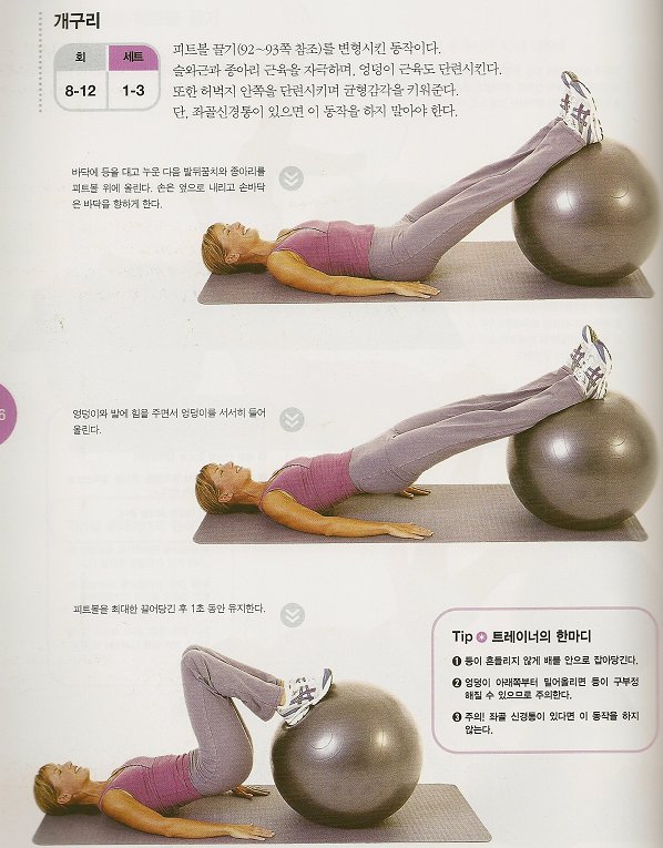 브릿지 이미지