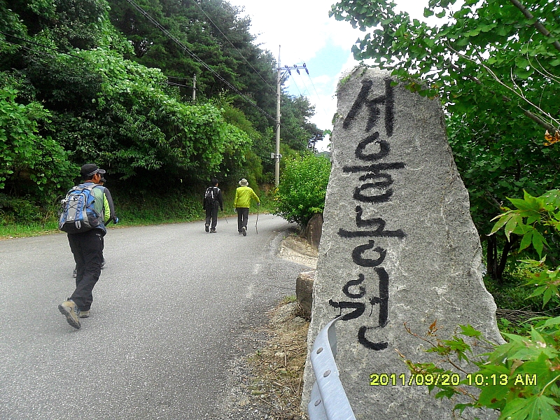 새들모텔 이미지