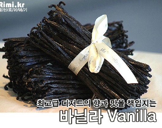 바닐라의실체 | 인스티즈