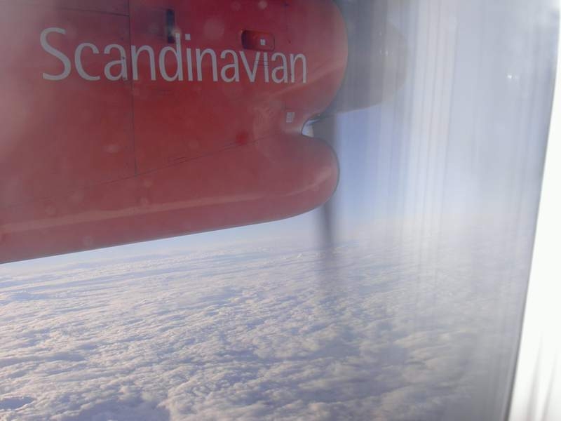 어린왕자의들꽃사랑마을무심결