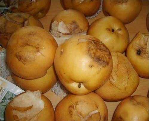 량 이미지
