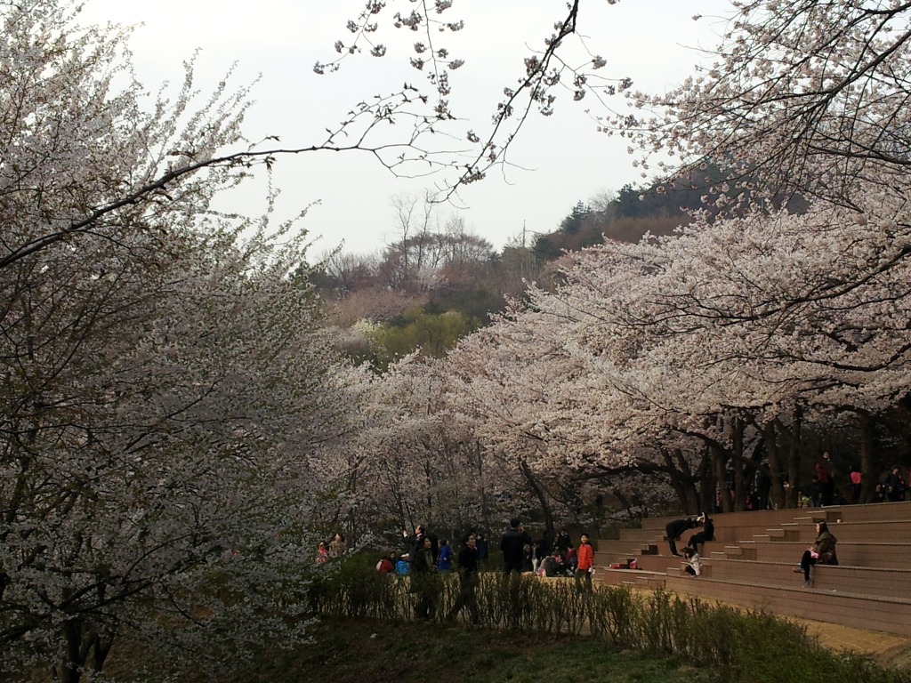 안산컴 이미지