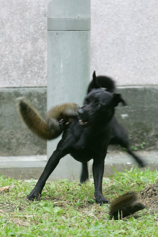 모성애 이미지