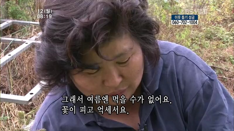 [인간극장] 우리 엄마는 할머니 1부 (감자 주의보 발령!!!) | 인스티즈