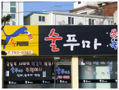 술푸마 이미지