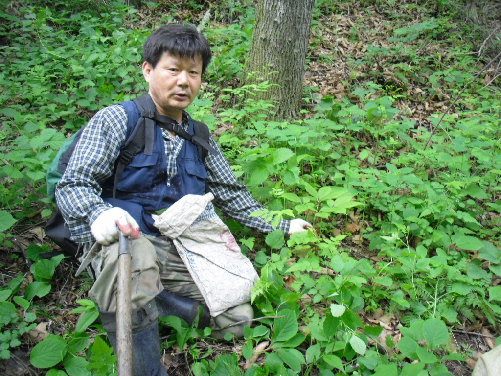 마운틴본 이미지