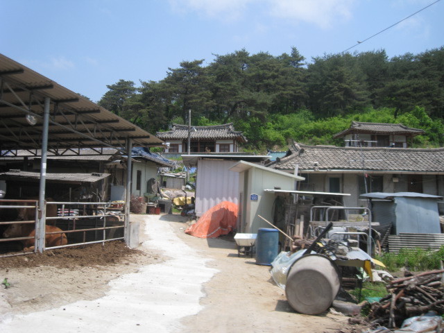 상운초등학교 이미지