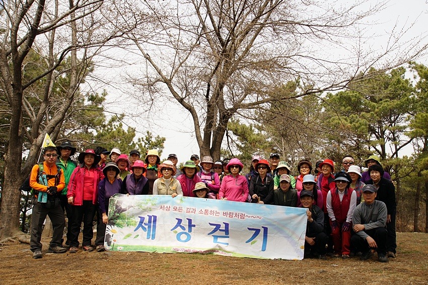 해오름풀꽃 이미지