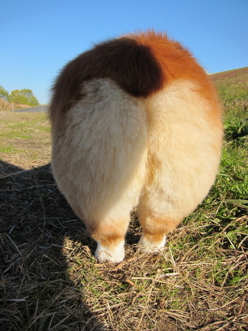 토실토실 이미지