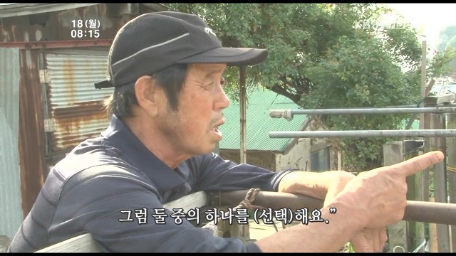 고양이 구박하는 훈할머니.JPG | 인스티즈