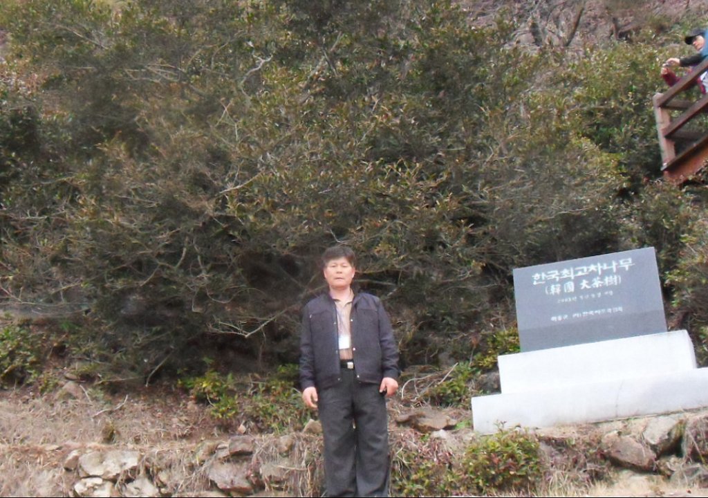 꿀벌사랑 이미지