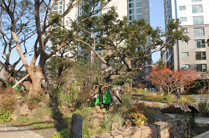 청담조경 이미지