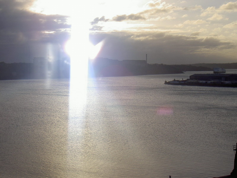 어린왕자의들꽃사랑마을무심결