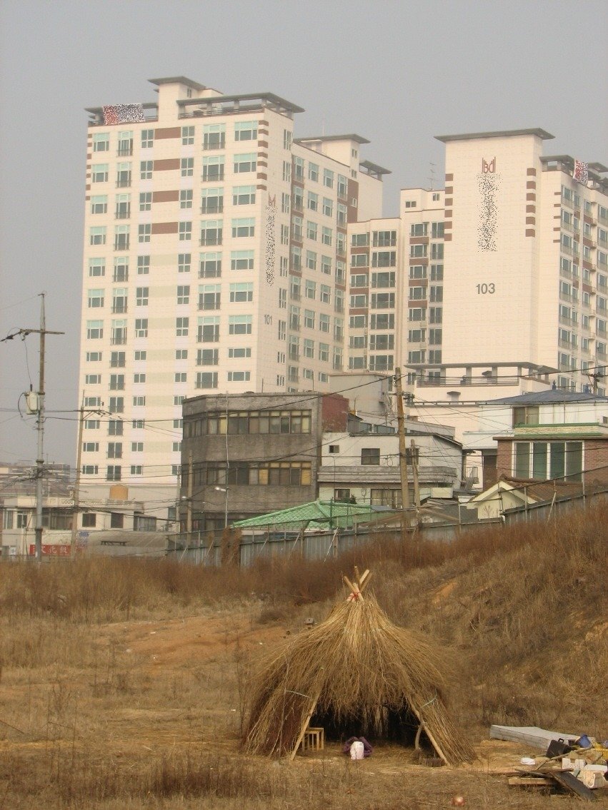돼지삼형제 이미지