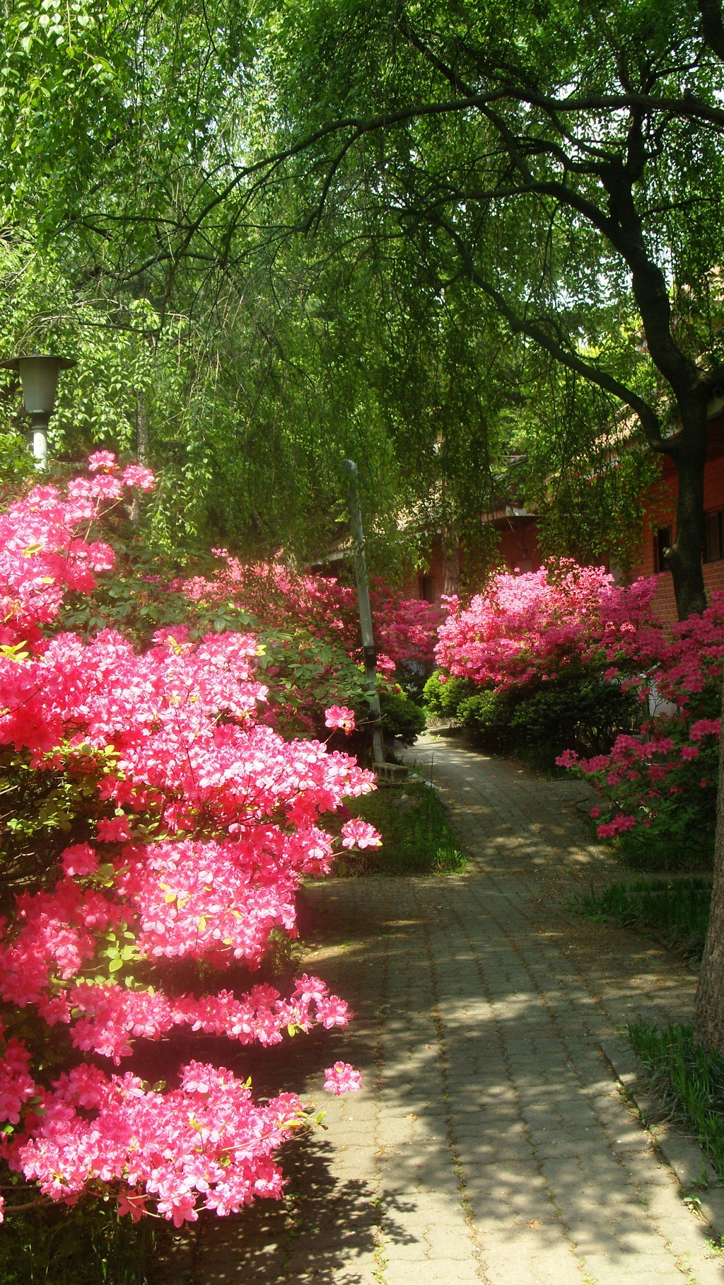 삼풍가든 이미지