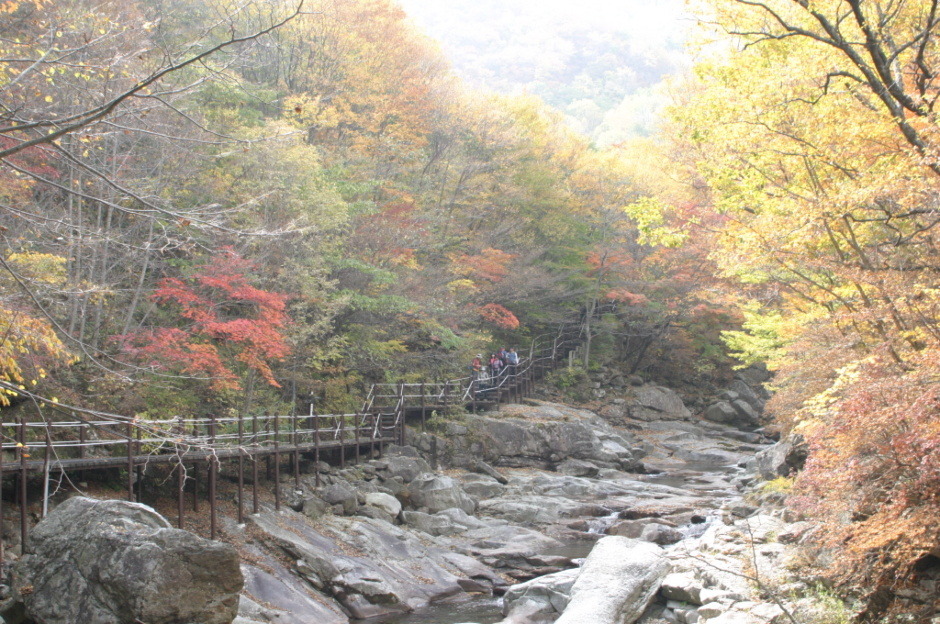 팔마 주유소 이미지