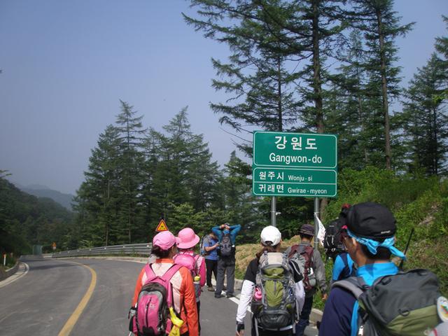 지교대호 이미지