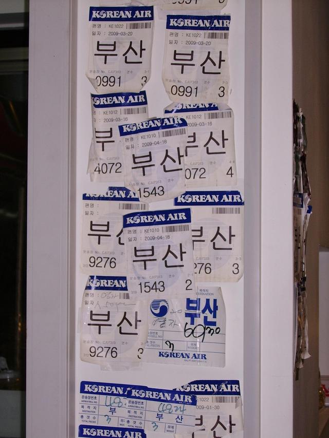 제주토종흑돼지 이미지
