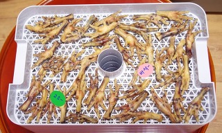 마님닭발 이미지