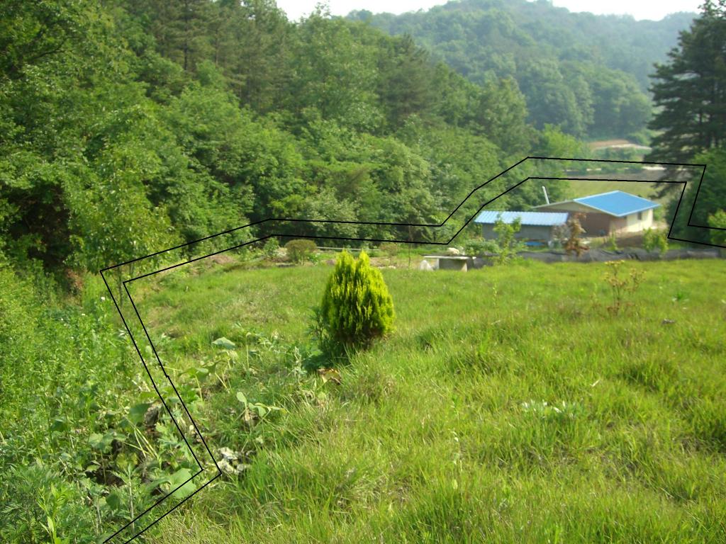 예산IC(대전) 이미지