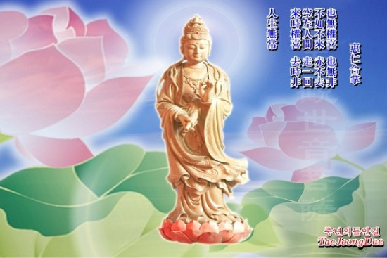 한*형 이미지