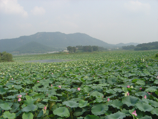 다산푸드시스템(주) 이미지