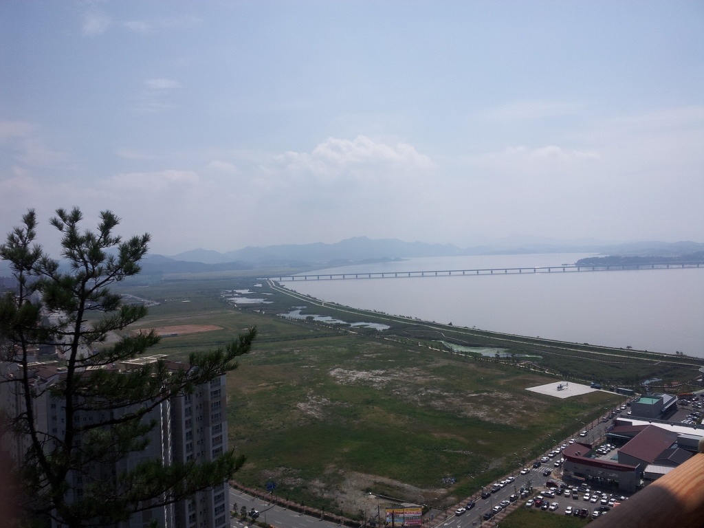 정상 정자 이미지