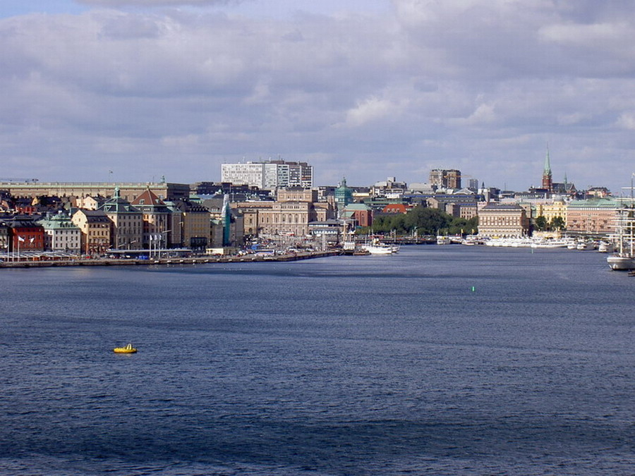 어린왕자의들꽃사랑마을무심결