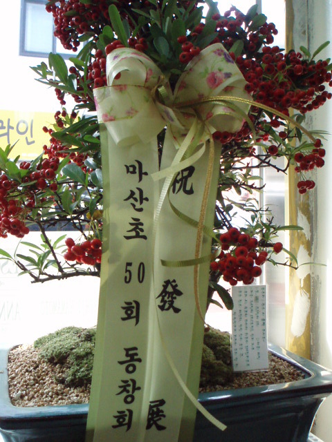 매직세탁수선 이미지