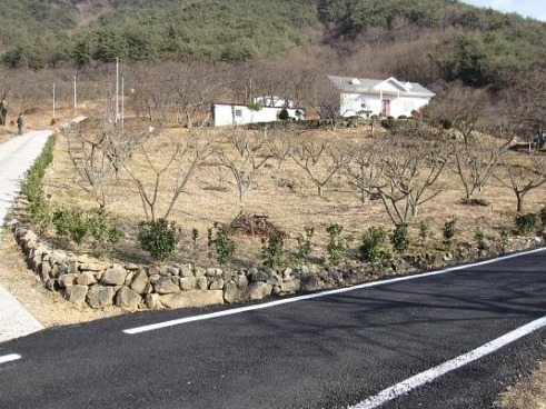 과일정원 이미지