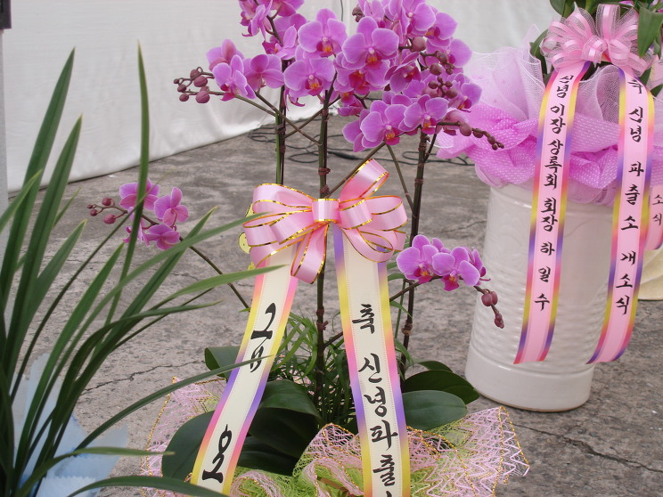 신녕농업협동조합 이미지