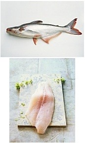 우리생선 이미지