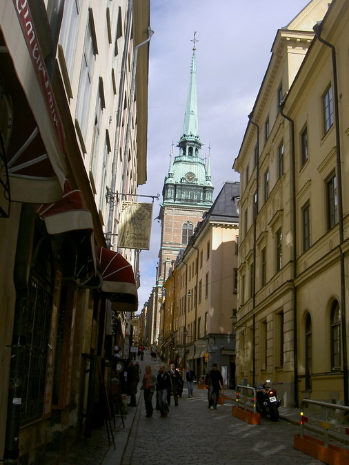 어린왕자의들꽃사랑마을무심결