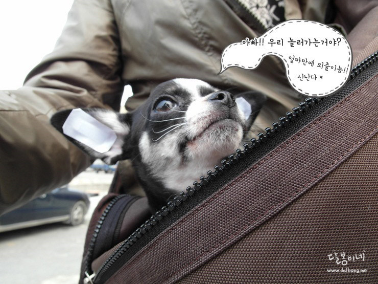 달봉이네 이미지