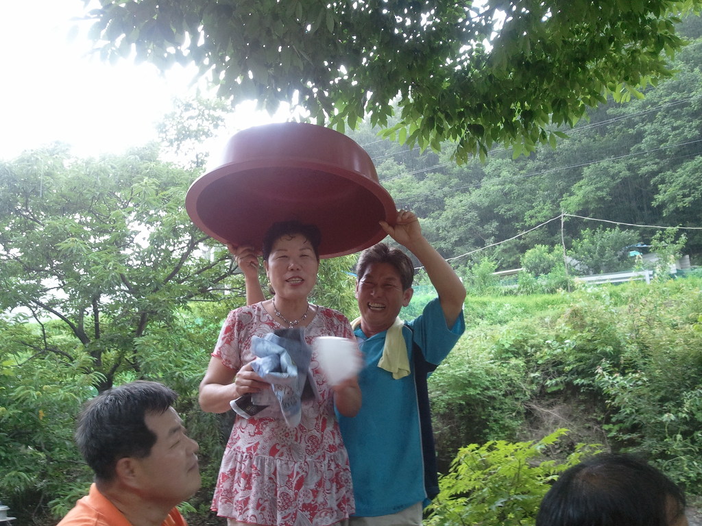 안고시 이미지