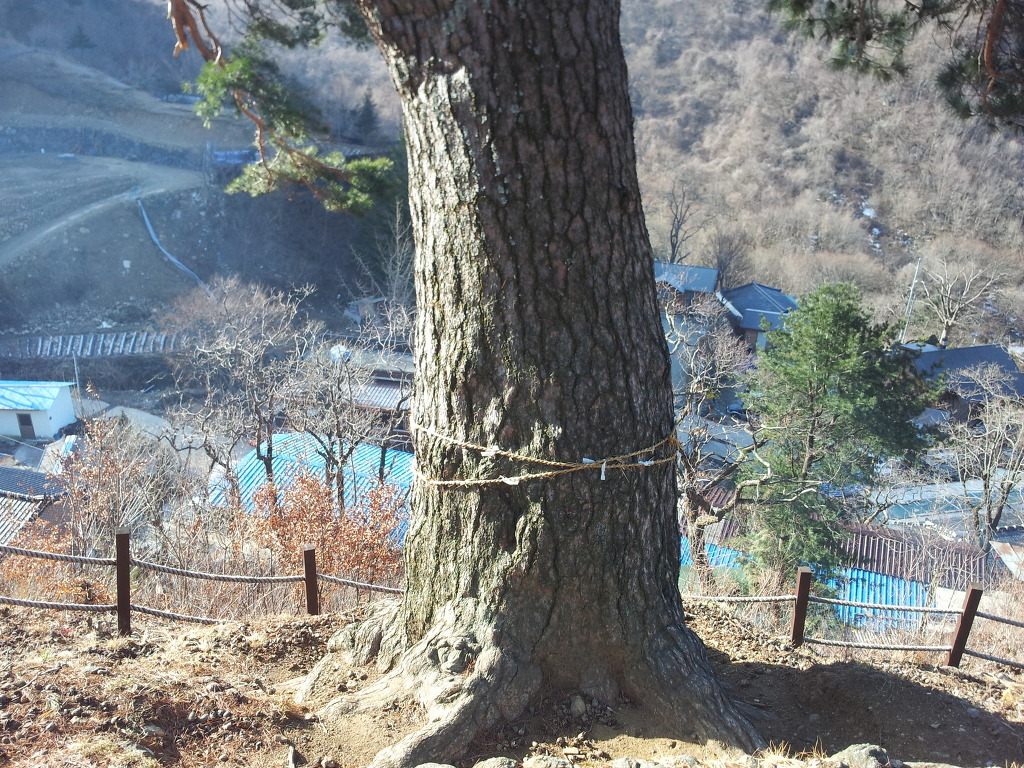 고향어탕국수 이미지