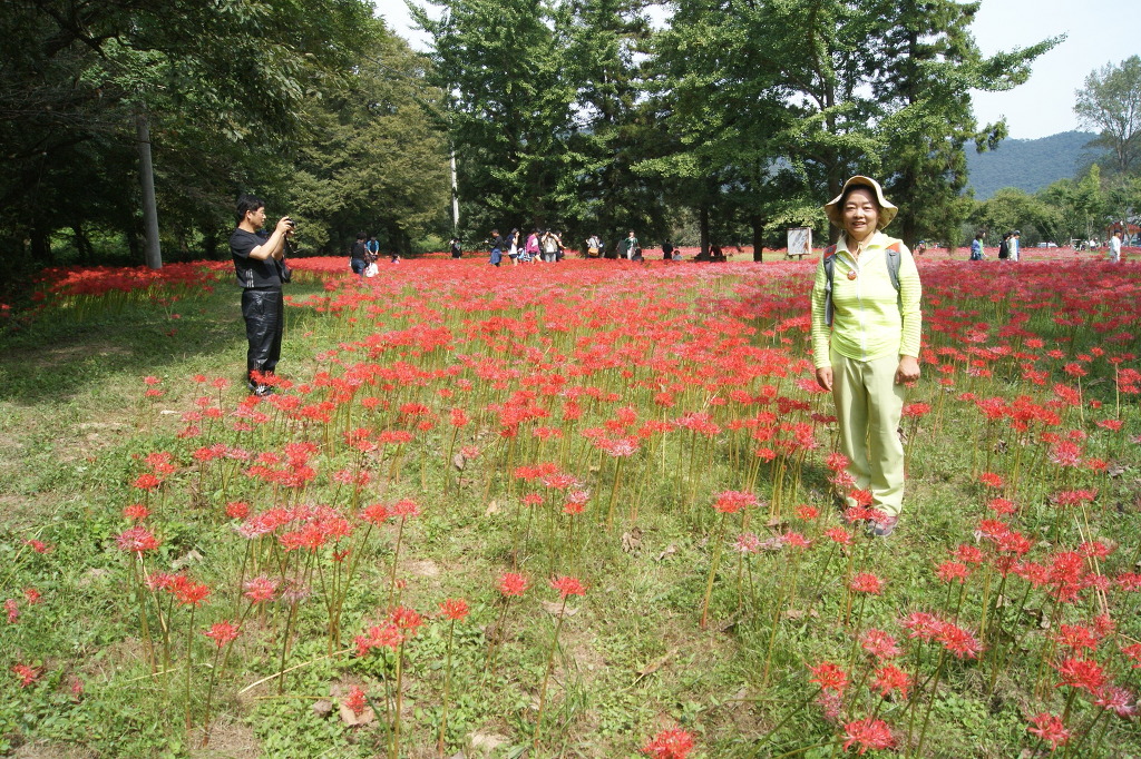 아름여행사 이미지