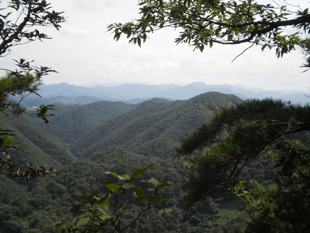산길 이미지