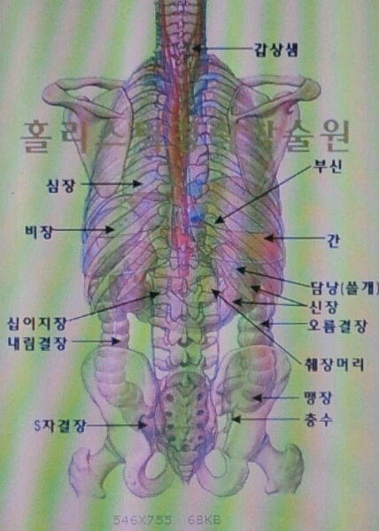 다섯발가락 이미지