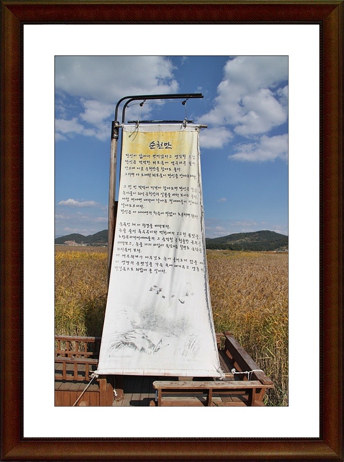순천만 숲3 이미지