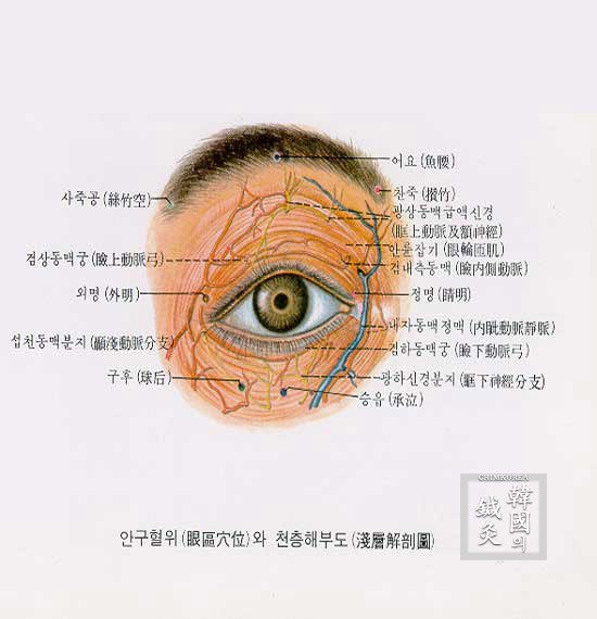 두경 이미지