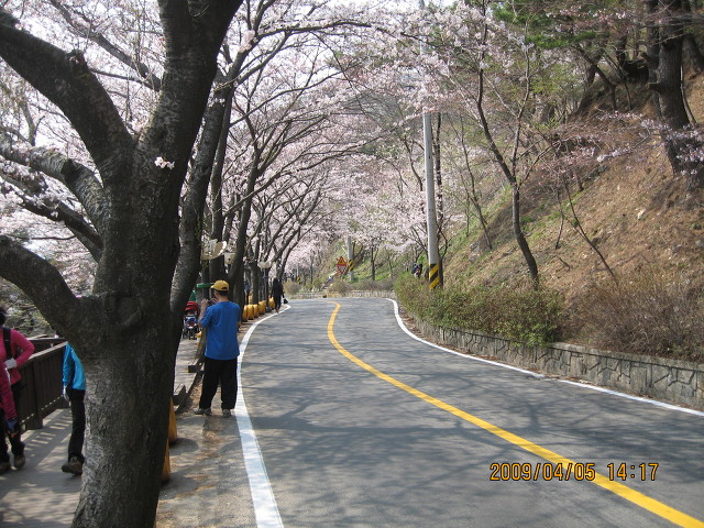 자은초등학교 이미지