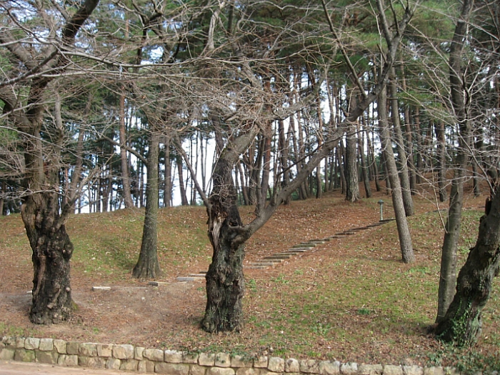 예향문화 이미지