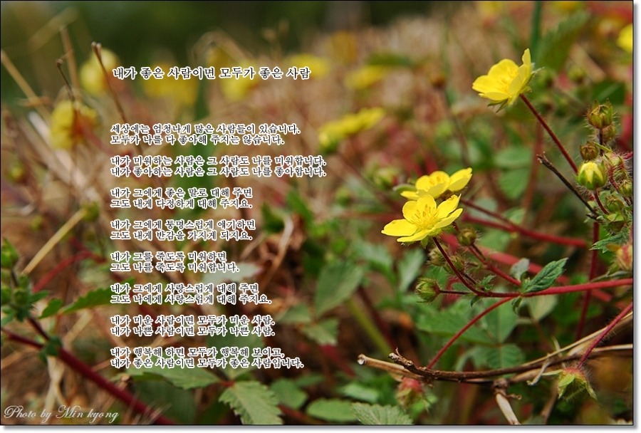 174A081149EFE8FFA12436
