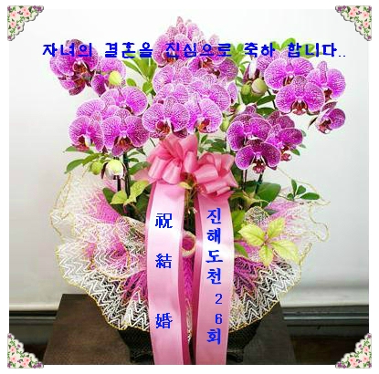 김*성 이미지