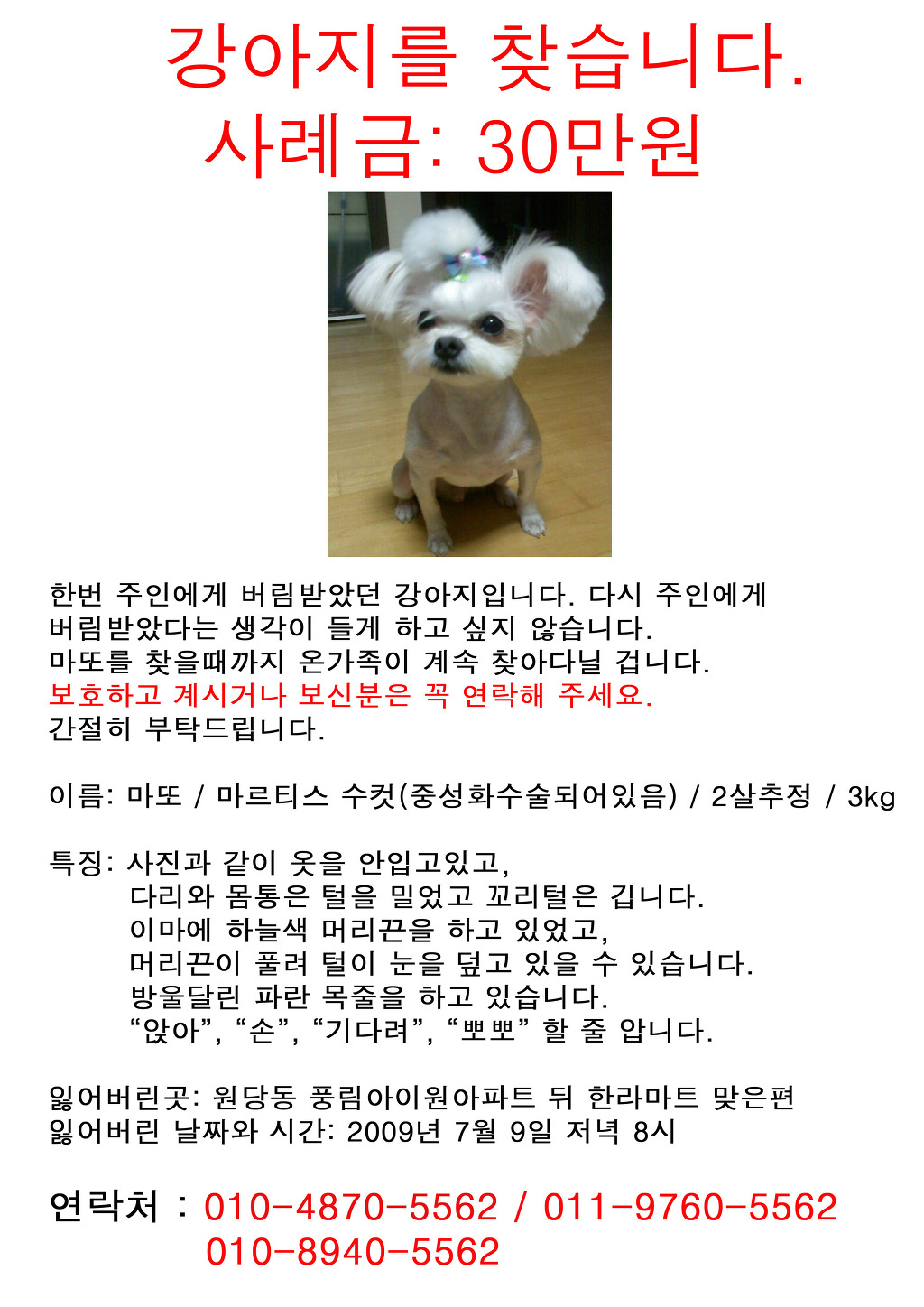 마또 이미지