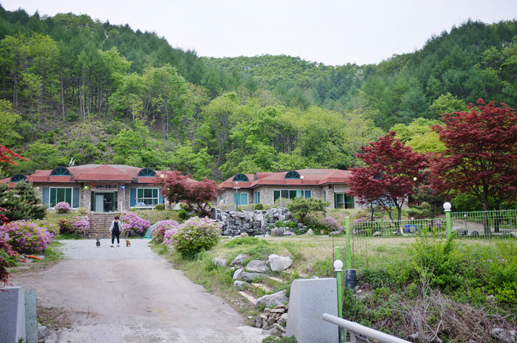 자유로캠핑장 이미지
